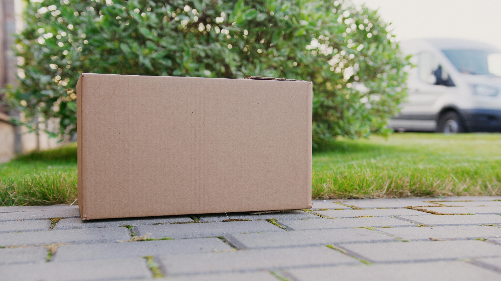 pexels-artempodrez-5025657